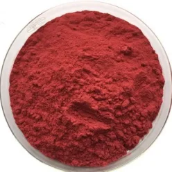 L-Carnitina